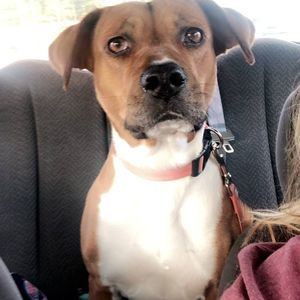 Meet your Posher, Zoey